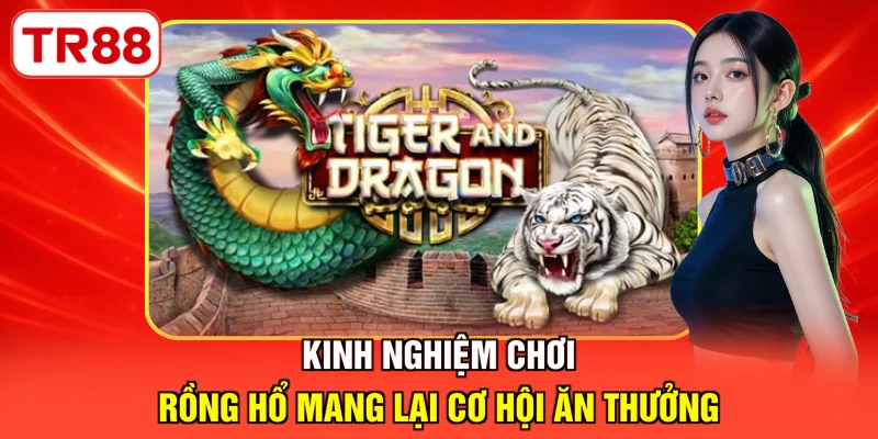 Kinh nghiệm chơi Rồng Hổ mang lại cơ hội ăn thưởng